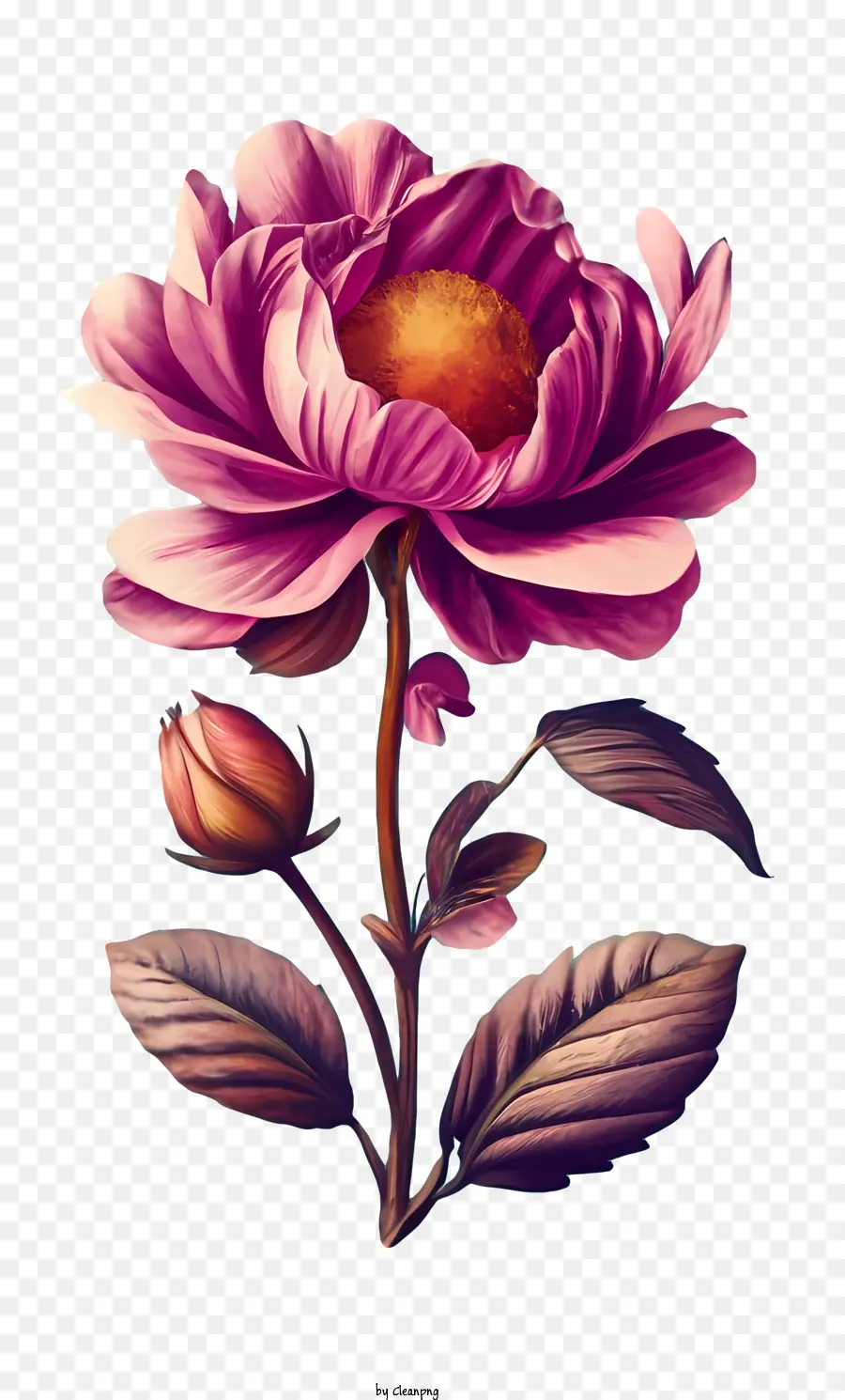 Vintage Rose，Rosa PNG