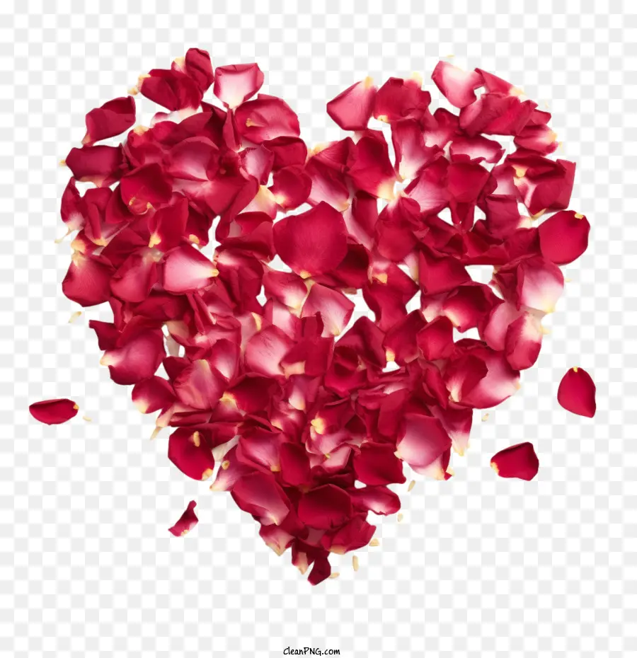 Rose Petals Heart，Rojo PNG
