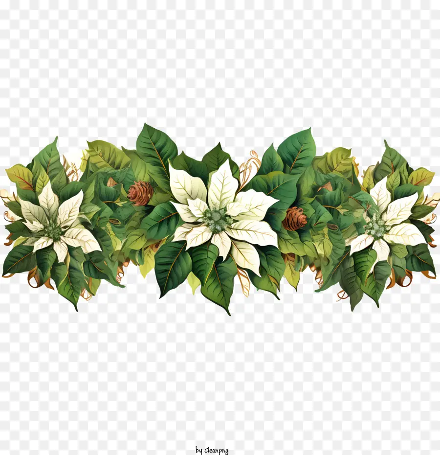 Borde De Flor De Pascua，Flor De Pascua PNG