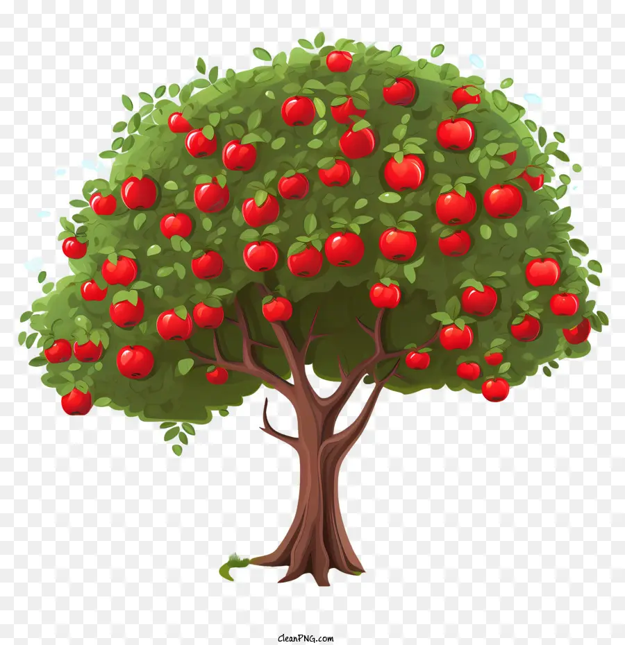 Manzano Frutal，Apple PNG