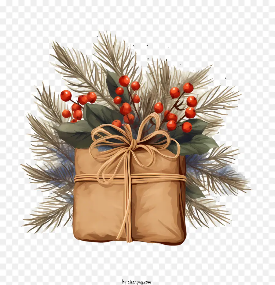 Christmas Present，Regalo De Navidad PNG