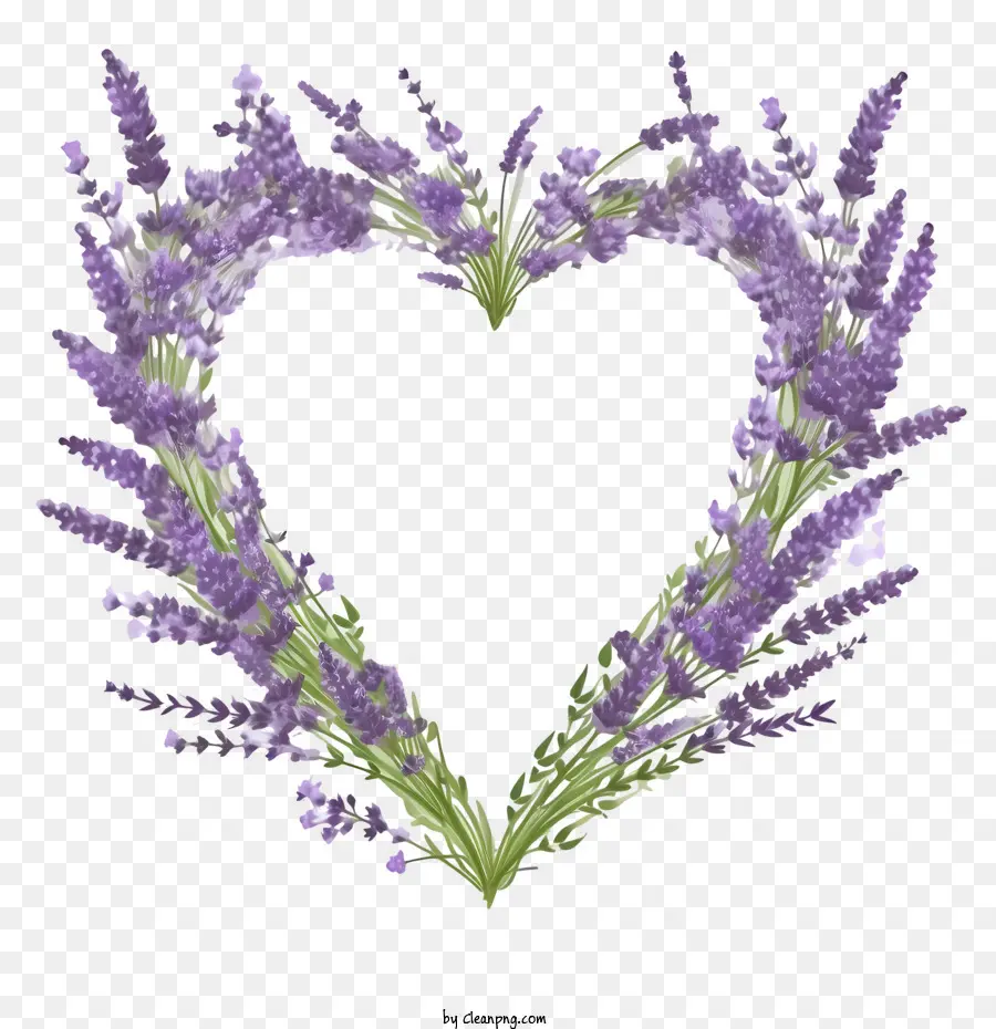 Corona De Flores De Lavanda，Lavanda PNG