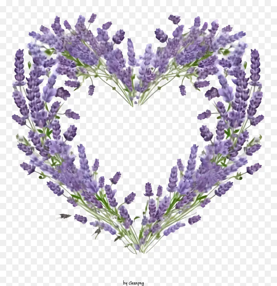 Corona De Flores De Lavanda，Lavanda PNG