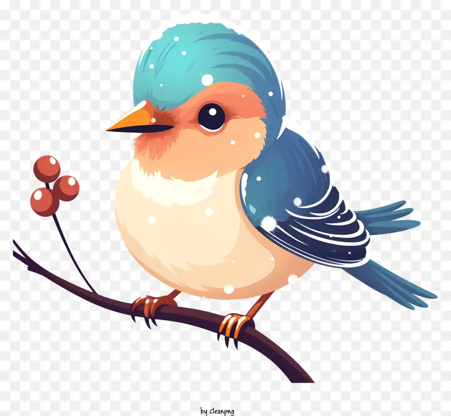 Pájaro Azul Y Blanco，De Frutos Rojos PNG