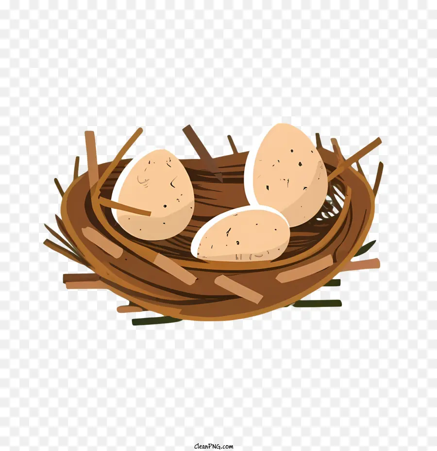 Huevos De Dibujos Animados，Nido PNG