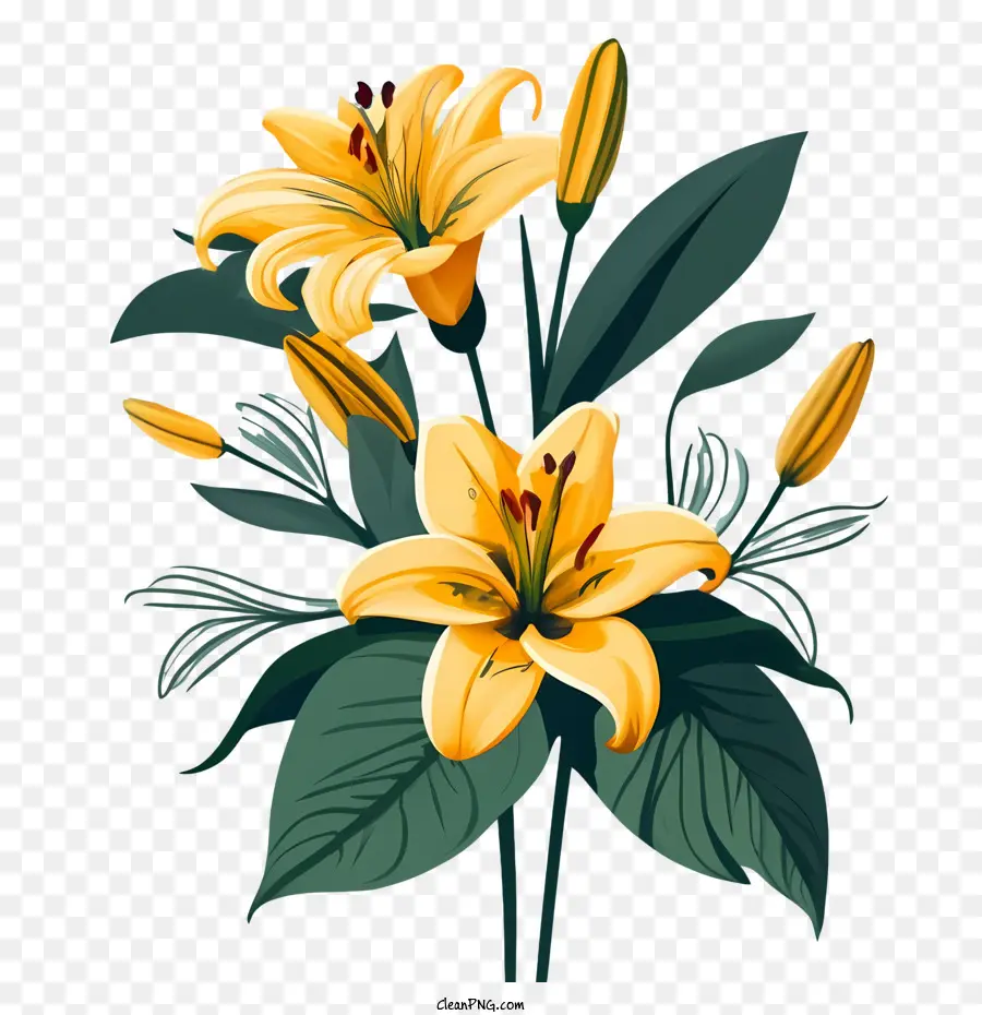 Flores De Lirio，Lirio Amarillo PNG