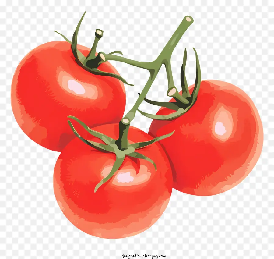 Tomates Rojos，Tomates Maduros PNG