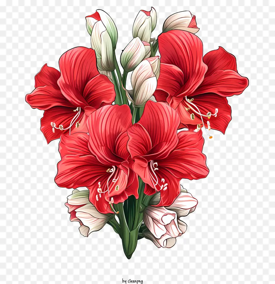 Flor De Amaryllis，Las Flores De Color Rojo PNG