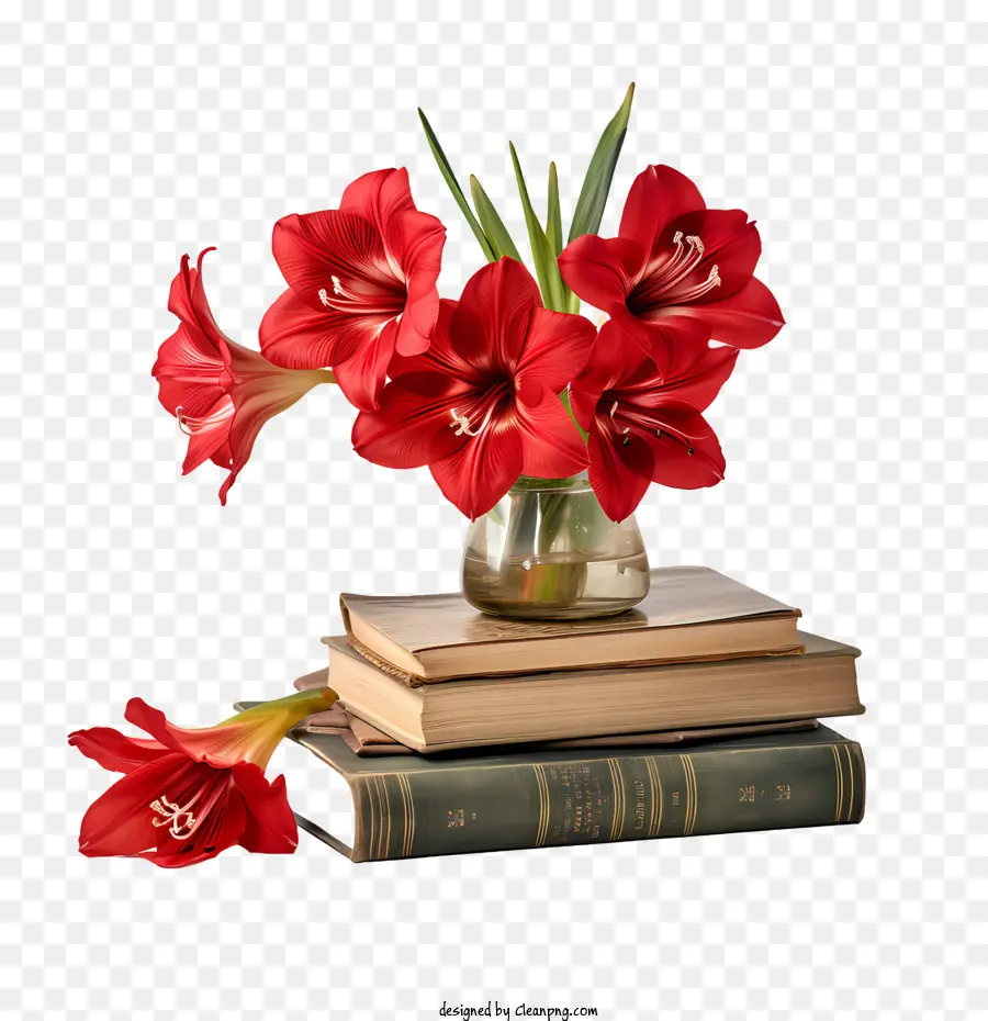 Flor De Amarilis，Flores Rojas Y Libros PNG