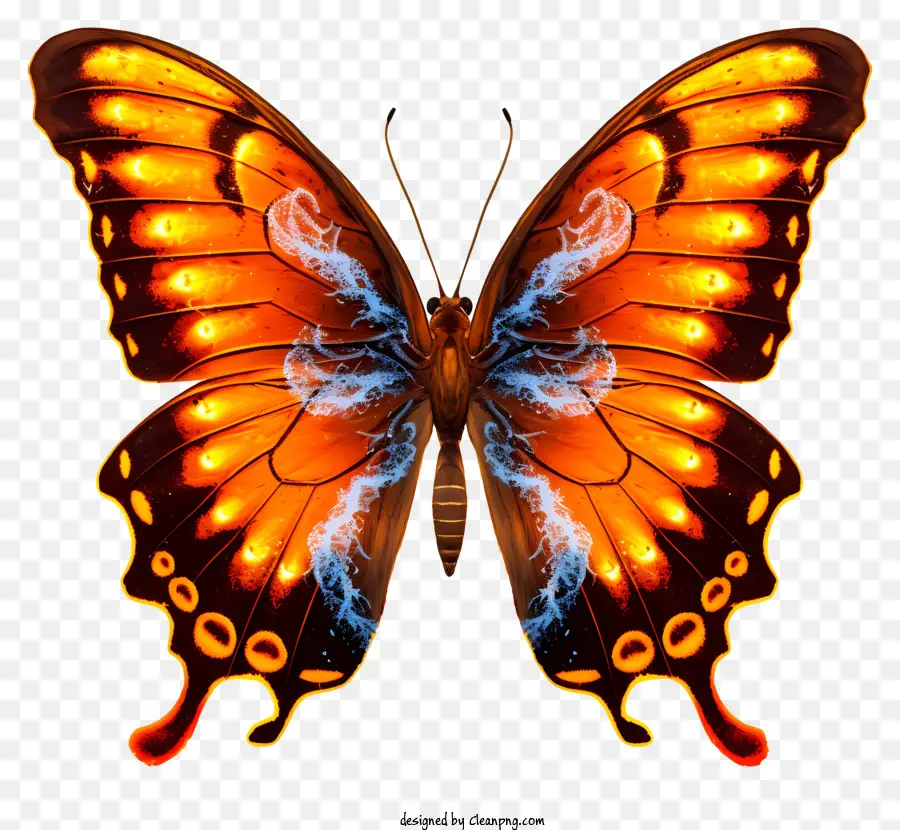 Mariposa，Mariposa De Color Naranja PNG