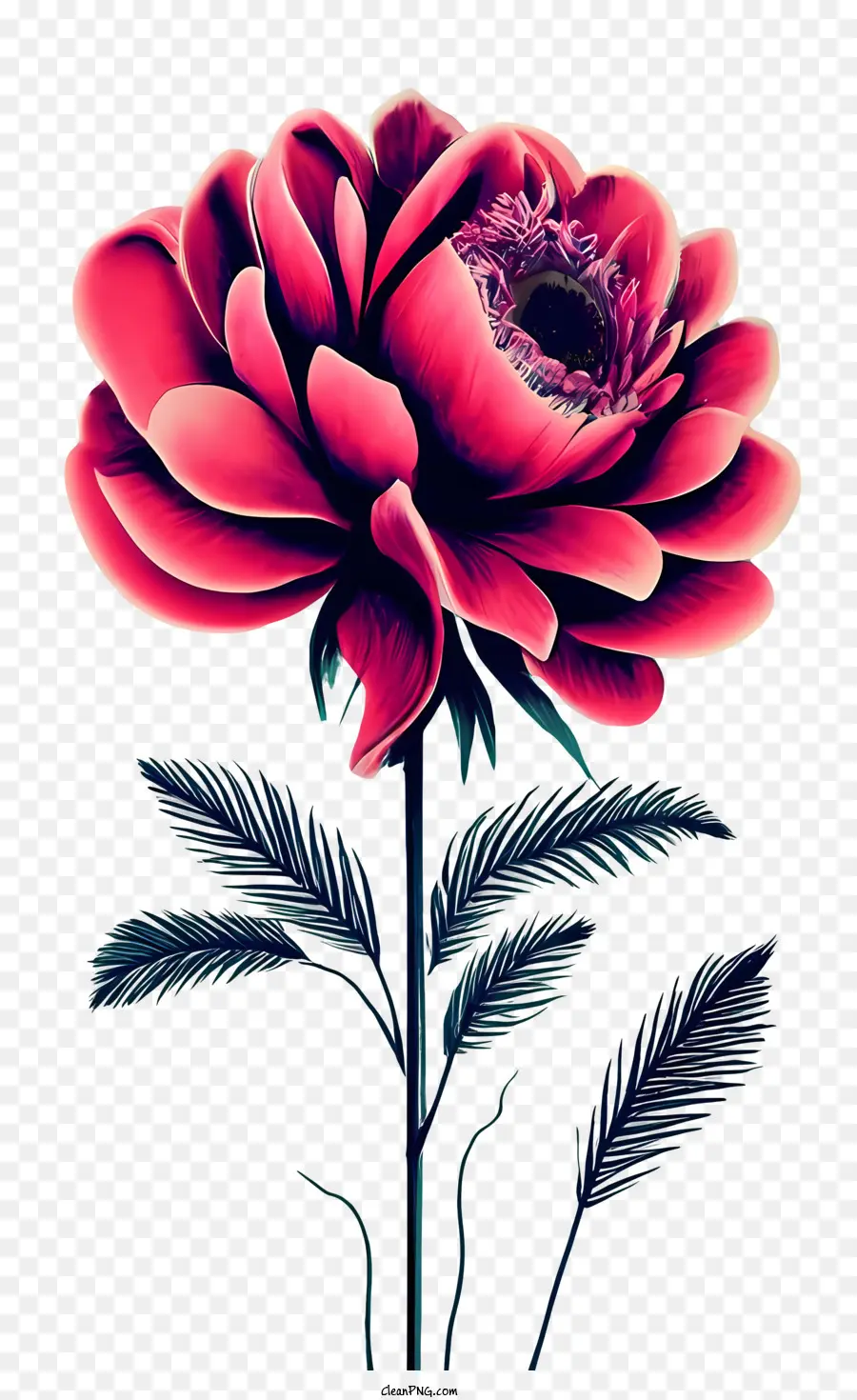 Rosa Vintage，Flor Roja PNG