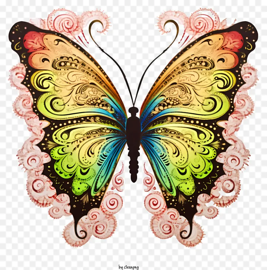 Mariposa，Colorido PNG