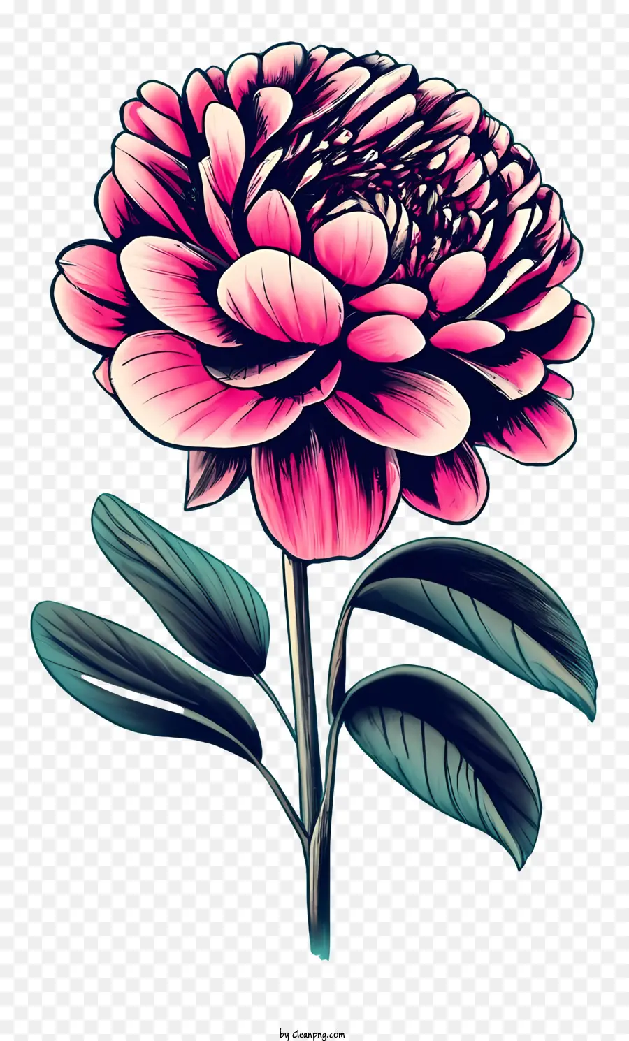 Rosa Vintage，Flor PNG