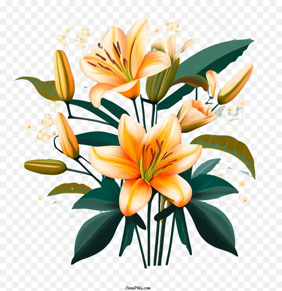 Flores De Lirio，Lily PNG