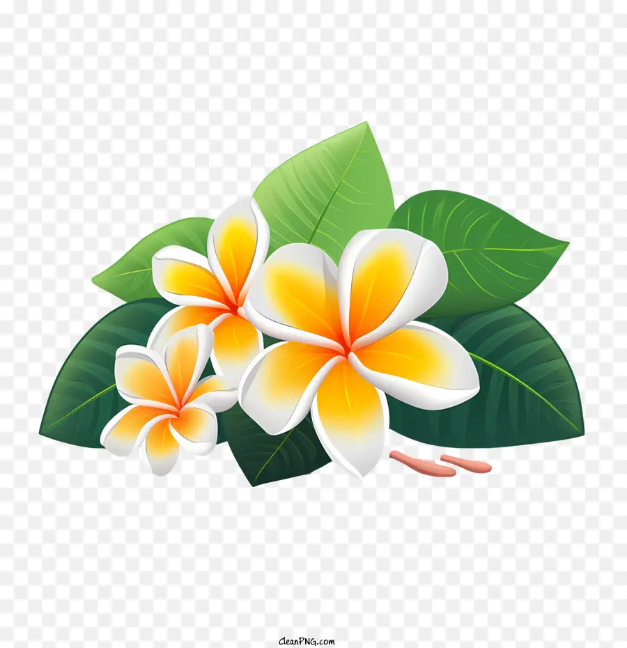 Flor De Frangipani，Amarillo PNG