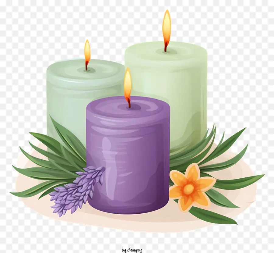 Las Flores De Lavanda，Velas PNG