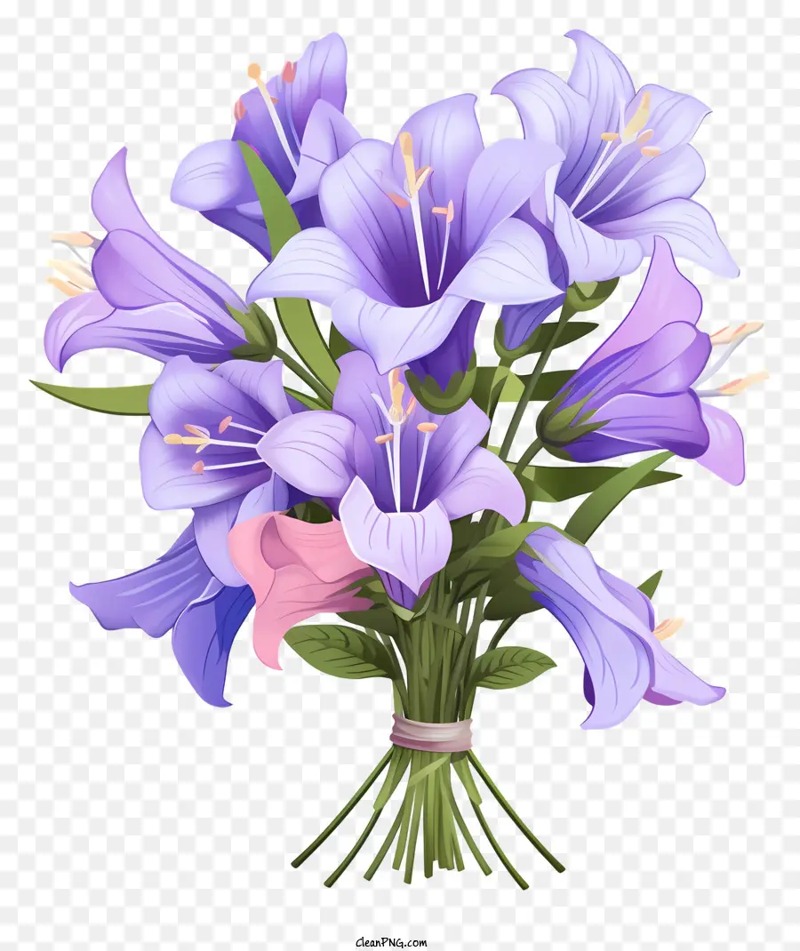 Lirios De Gala Azules，Flores Moradas PNG