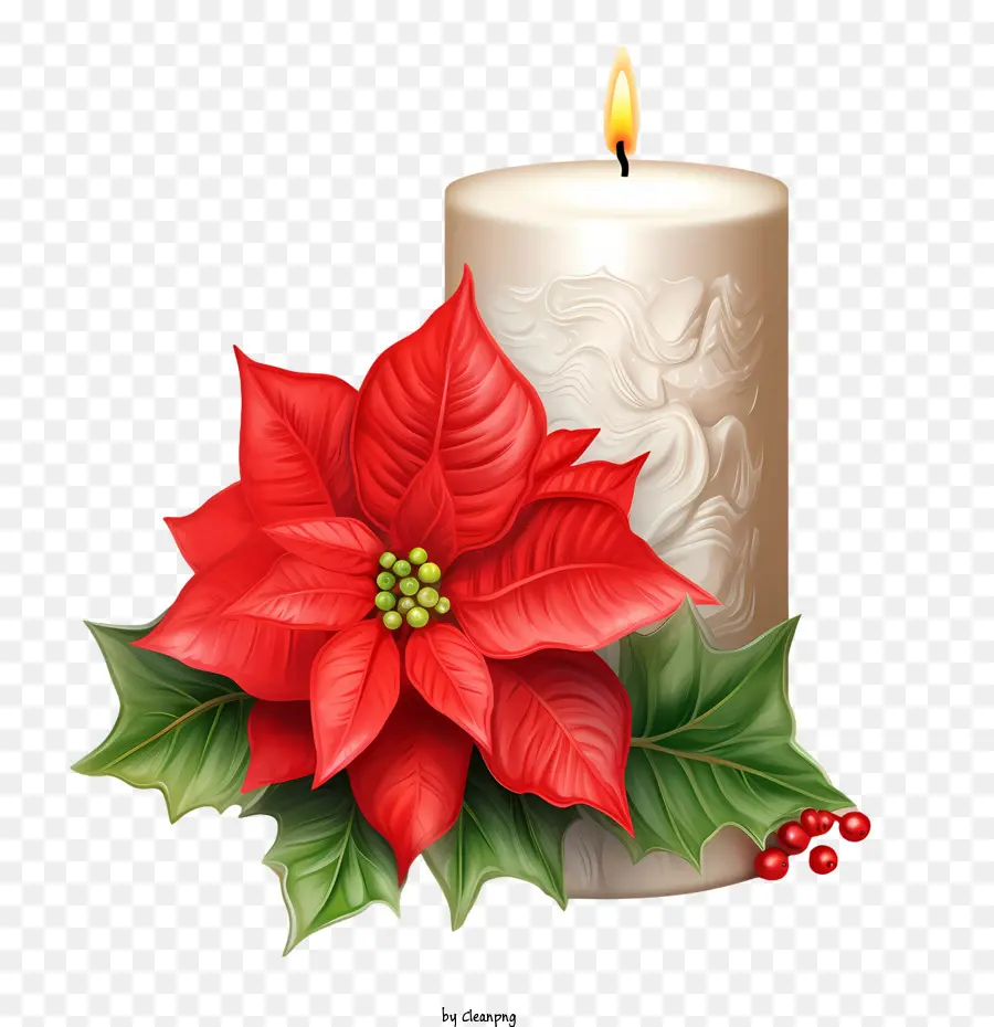 Vela De Navidad，Poinsettia Roja PNG