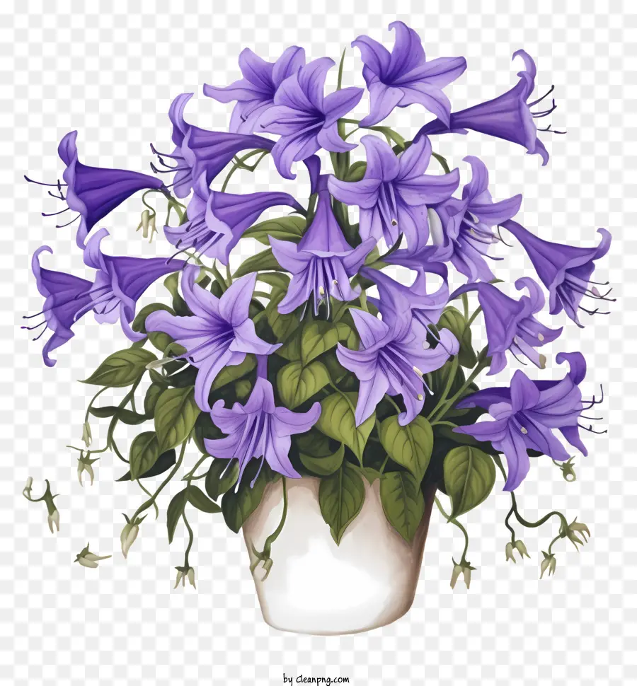 Jarrón De Cerámica，Flores Moradas PNG