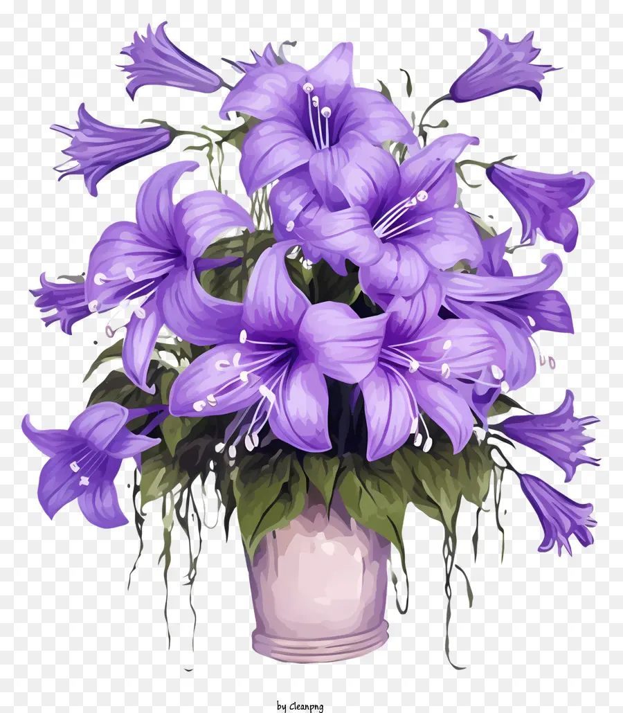 Macetas De Flores，Lilas Moradas PNG