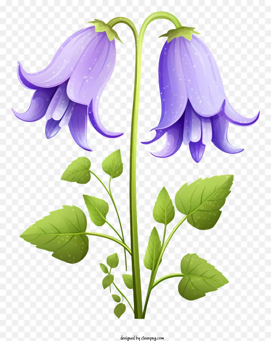 Flores De Color Púrpura，Flores PNG