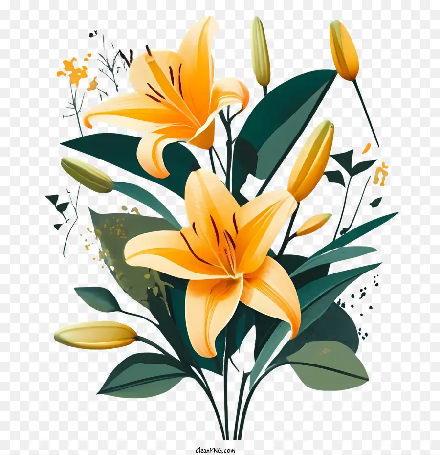 Flores De Lirio，Lily PNG