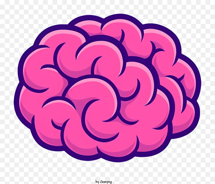 La Anatomía Del Cerebro，La Función Del Cerebro PNG