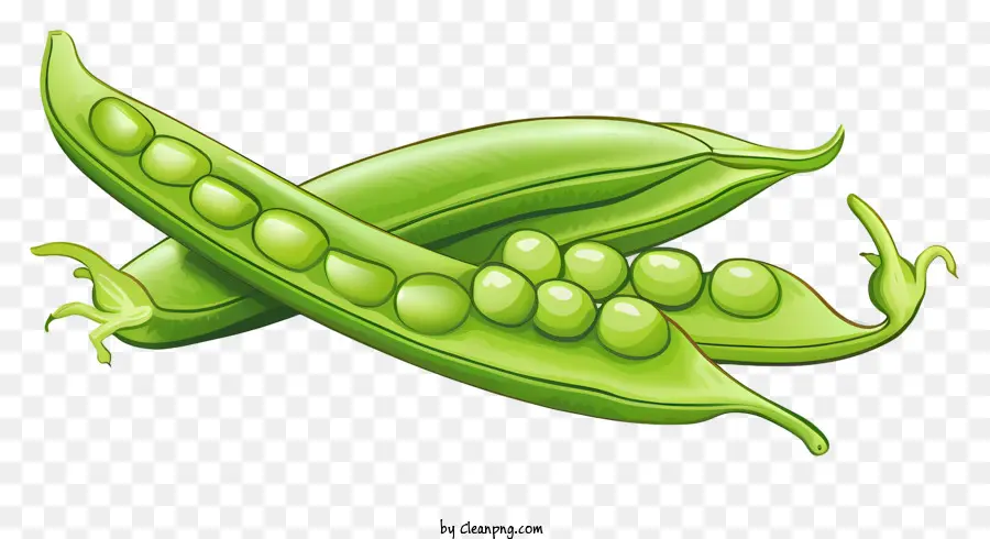 La Planta De Guisantes，Guisantes Verdes PNG