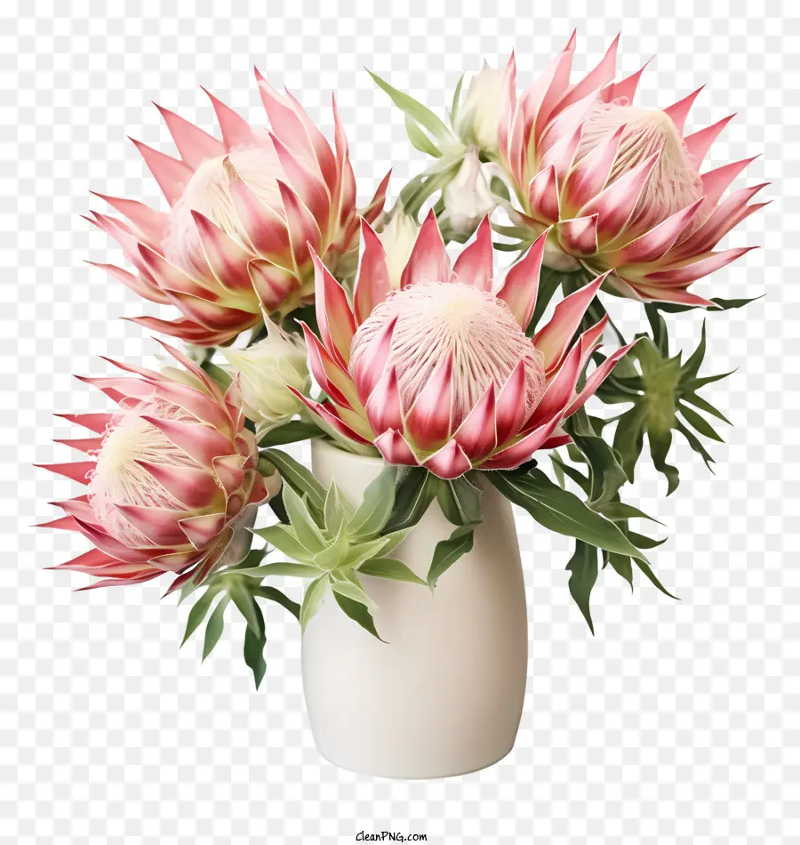 Flores De Protea Pink，Vaso Blanco PNG