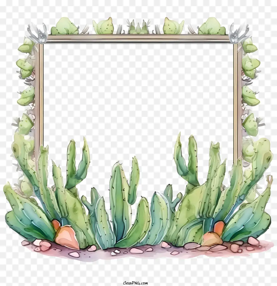 Cactus，Desierto PNG