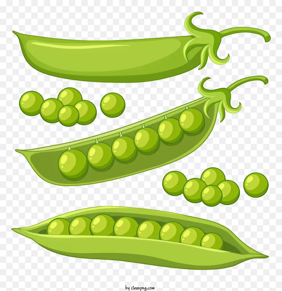 Guisantes Verdes，Vaina De Guisantes PNG