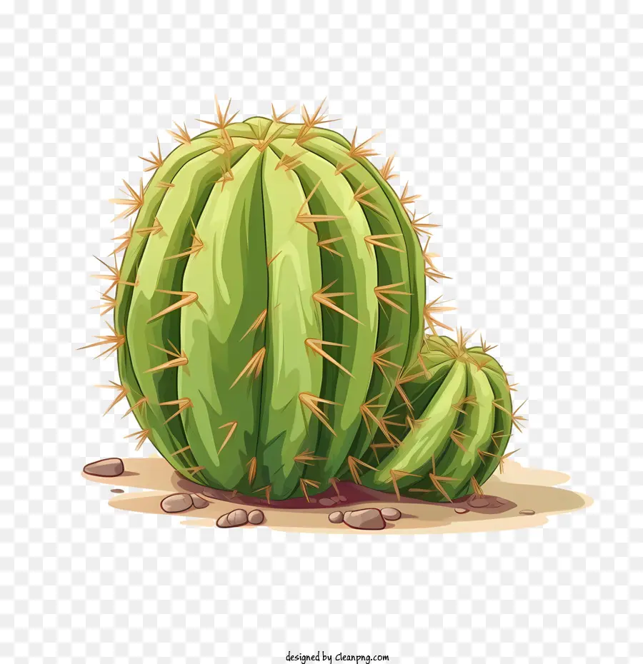 Cactus，Cacto Verde PNG