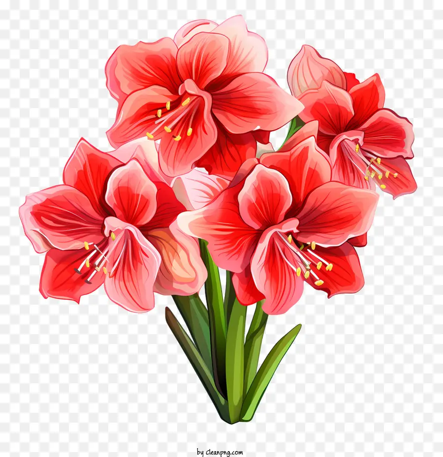 Flor De Amaryllis，Rojo PNG