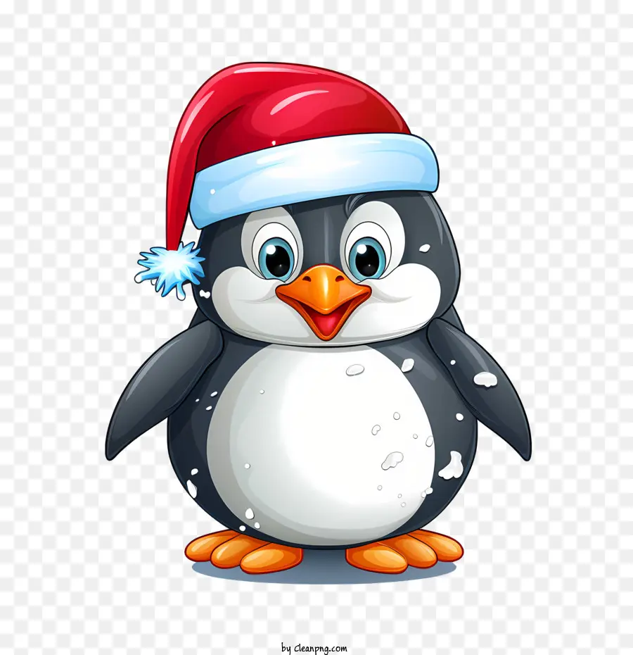 Pingüino De Navidad，Pingüino PNG