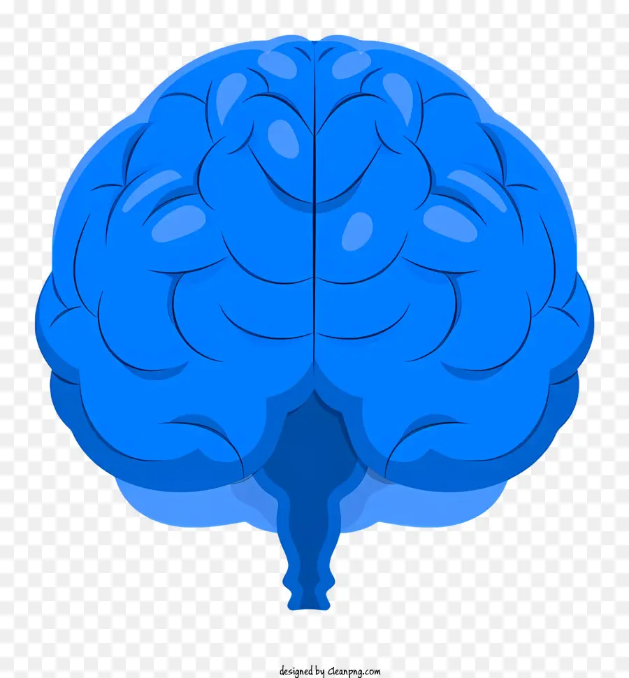 El Cerebro Humano，Blue Brain PNG