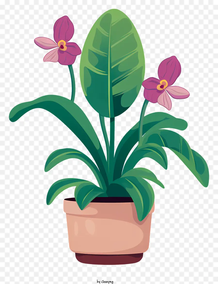 Planta En Maceta，Planta Verde PNG