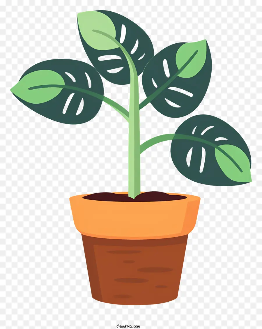 Lata De Planta，De Hojas De La Planta PNG