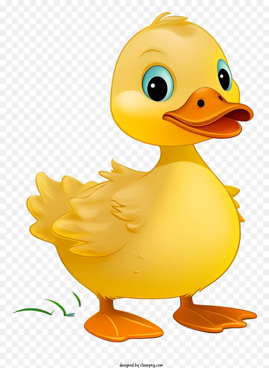 Pato，Aves PNG