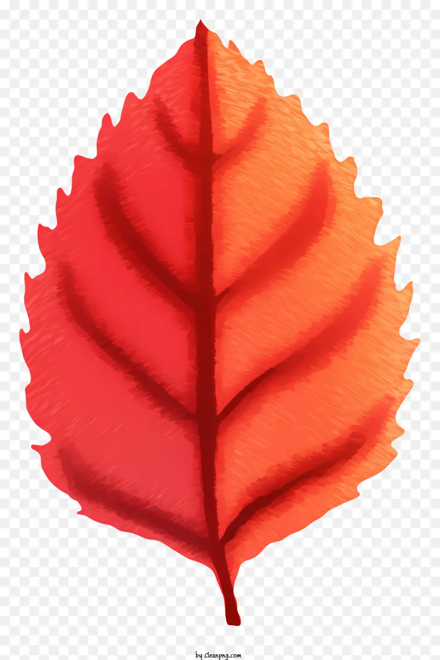 Hoja Roja，Otoño PNG