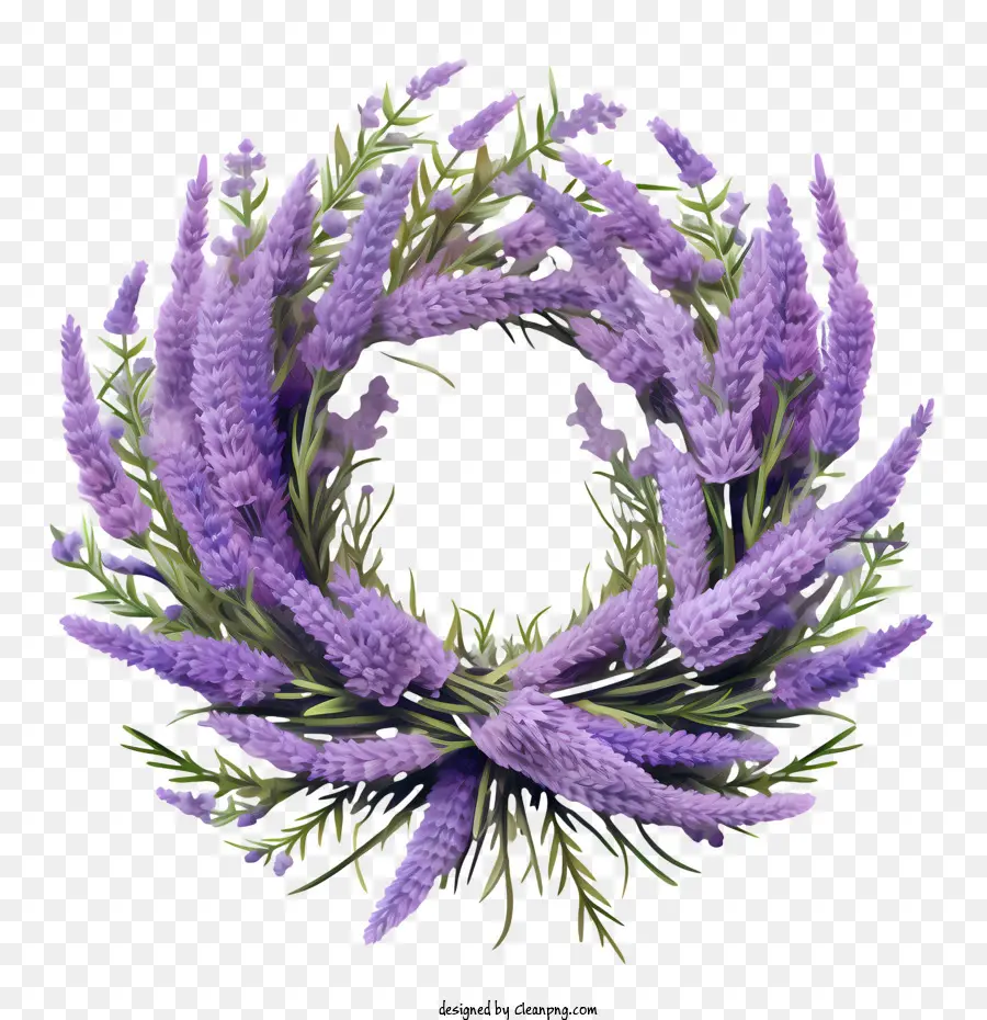 Corona De Flores De Lavanda，Lavanda PNG