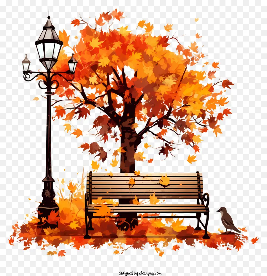 Escena De Otoño，Banco Del Parque PNG