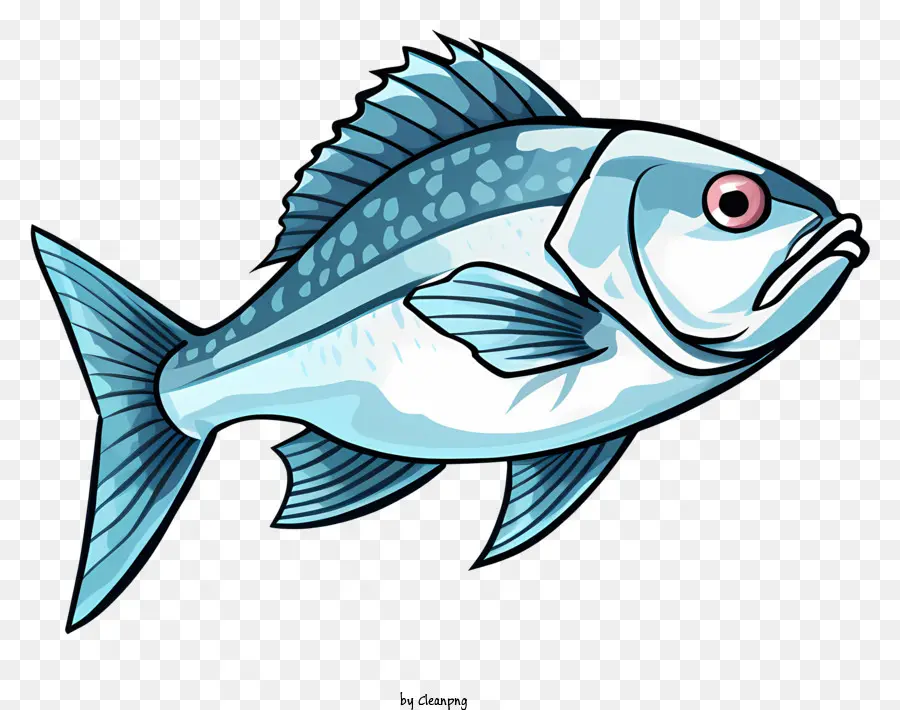 Dibujos Animados De Pescado，Pescado Blanco PNG