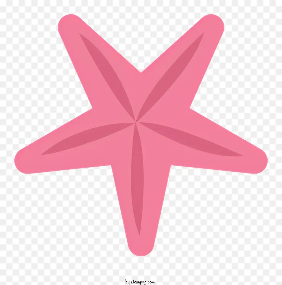 Estrella De Mar De Color Rosa，Cinco Brazos PNG