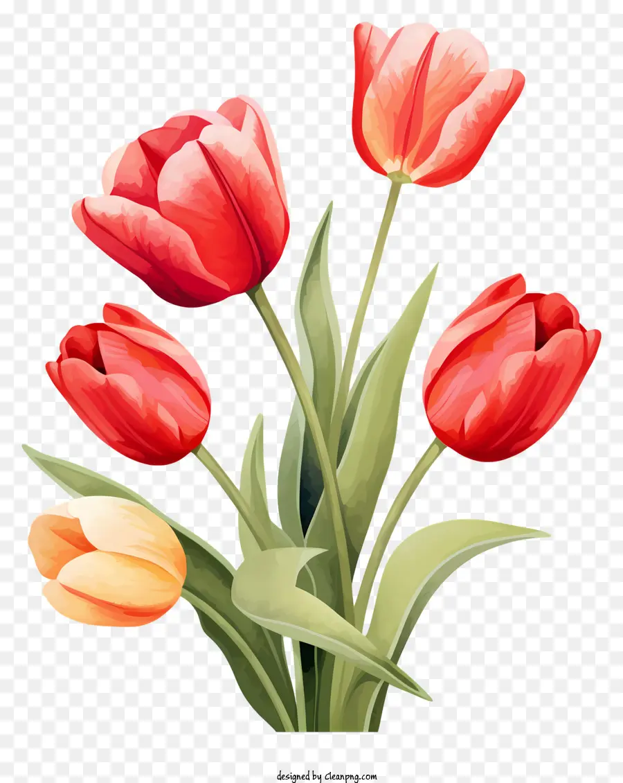 Ramo，Tulipanes Rojos PNG