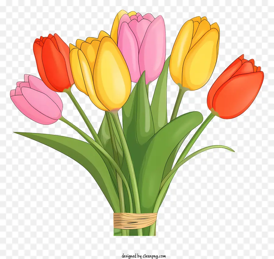 Los Tulipanes，Ramo PNG