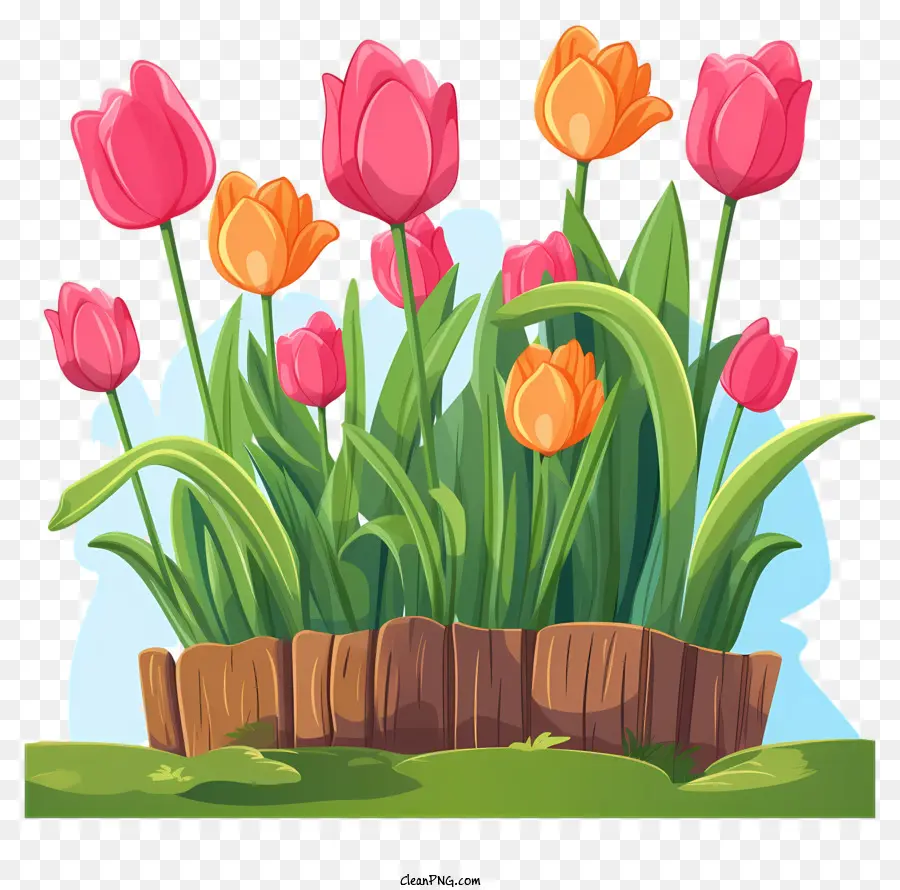 Cama De Flores，Los Tulipanes PNG