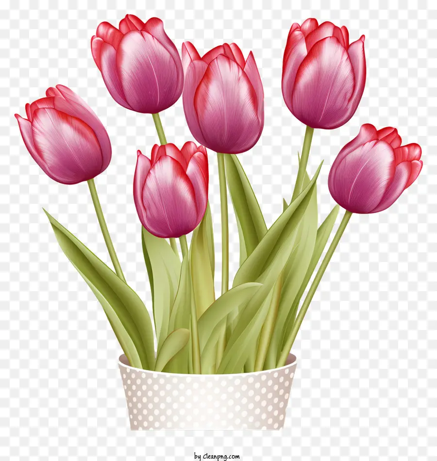 Florero，Tulipanes Rosados PNG