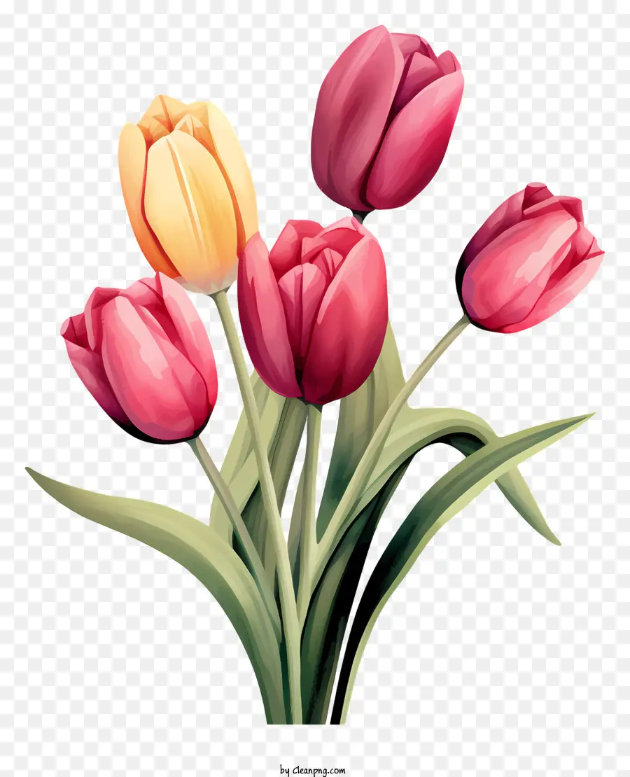 Flores，Florero PNG