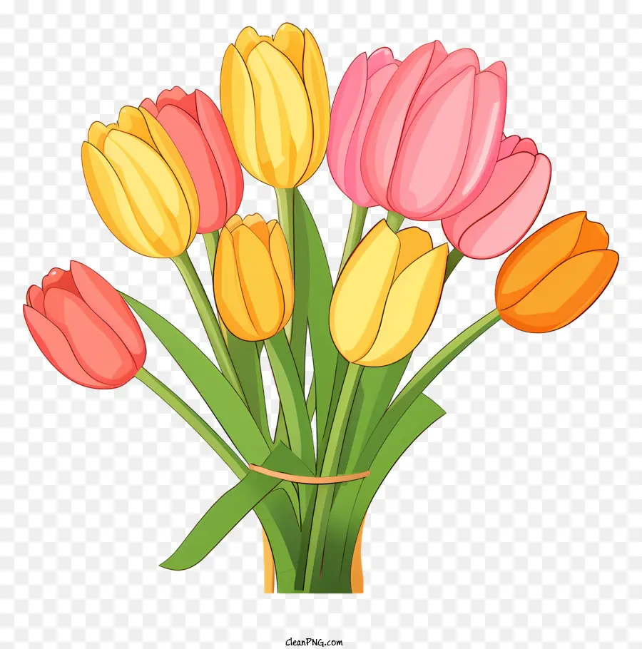 Tulipanes Multicolores，Tulipanes PNG