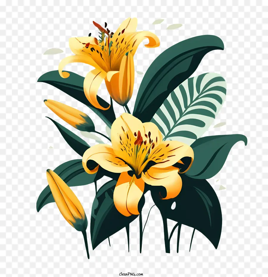 Flores De Lirio，Lily PNG